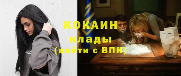прущие грибы Арсеньев