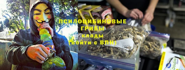 стаф Алексин