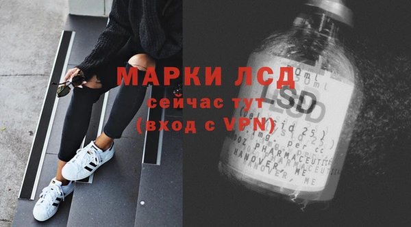 прущие грибы Арсеньев