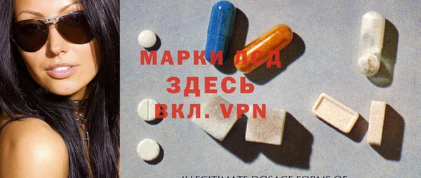 стаф Алексин