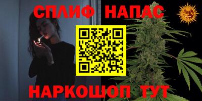винт Камень-на-Оби