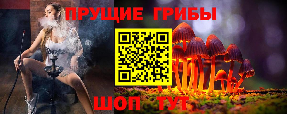 дарнет шоп  Галлюциногенные грибы Magic Shrooms  Вход с VPN  Курган 